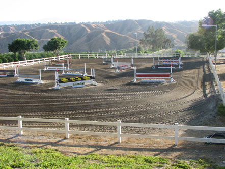 BF-Arena BF-Arena