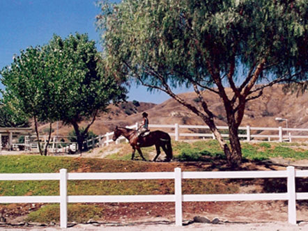 BF-TrailRider BF-TrailRider